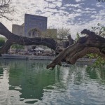 photo_2025-04-24_19-44-25