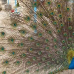 photo_2025-04-26_17-10-59