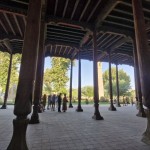 photo_5911191669221477287_y