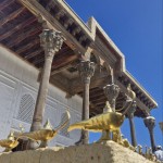 photo_5924509426503502987_y